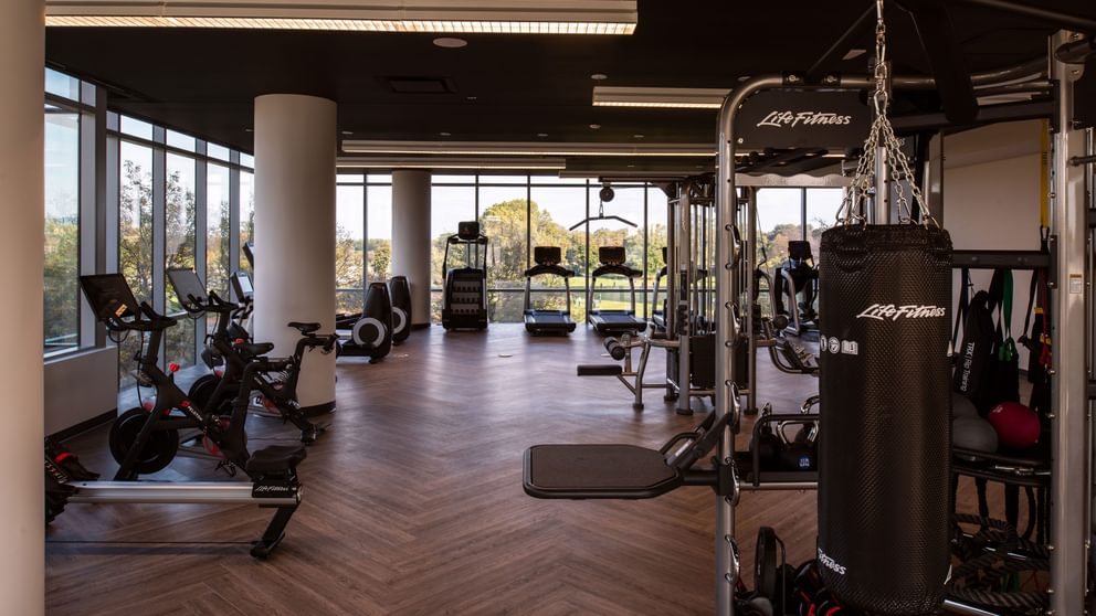 Pet-Friendly Apartments in Uptown Chicago, IL - Eight Eleven Uptown - Fitness Center with CardioMachines, Weight-Lifting Machines, and Floor-to-Ceiling Windows.